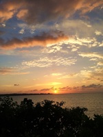 Okinawa Island Japan 85